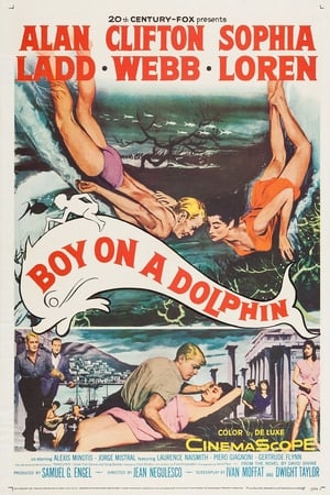 Boy on a Dolphin poszter