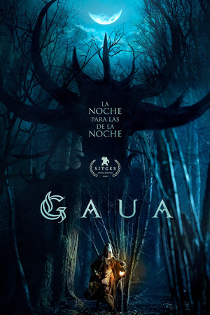 Gaua poszter