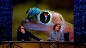 QI 14. évad Ep.10 10. epizód