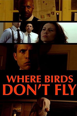 Where Birds Don't Fly poszter