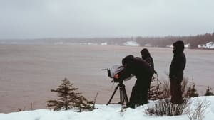 Freshwater háttérkép