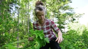 La famille de la forêt háttérkép