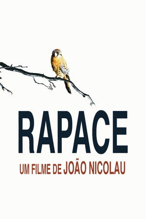 Rapace poszter