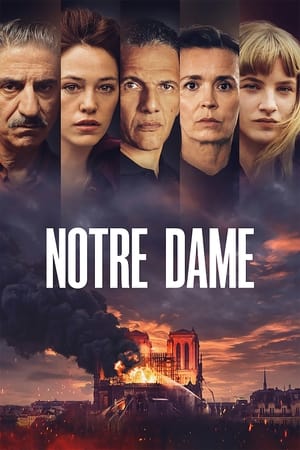 A lángba borult Notre-Dame poszter