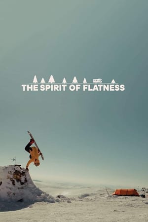 The Spirit of Flatness