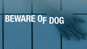 Beware of Dog háttérkép