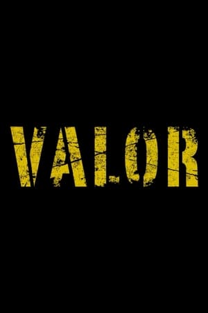 Valor poszter