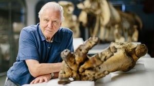 Attenborough and the Giant Elephant háttérkép