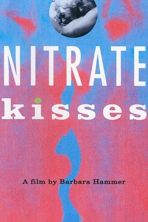 Nitrate Kisses poszter