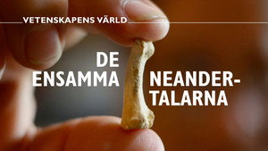 Vetenskapens värld 50. évad Ep.34 34. epizód