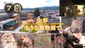 ドキュメント72時間 16. évad Ep.19 19. epizód