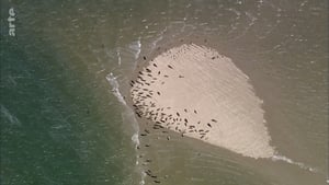 Sylt - Wellen, Wind und Watt háttérkép