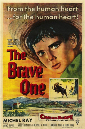 The Brave One poszter