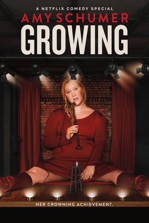 Amy Schumer: Növekedés poszter