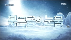 무한도전 Season 3 Ep.508 508. epizód