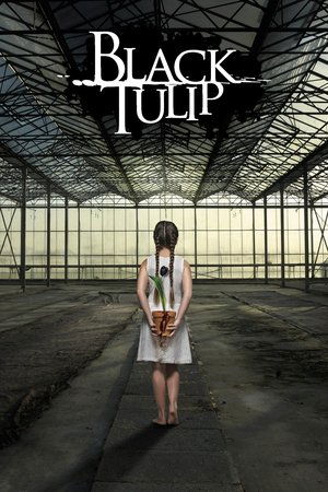 Fekete tulipán poszter