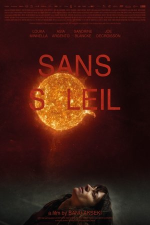 Sans soleil poszter