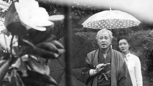 恍惚の人 háttérkép