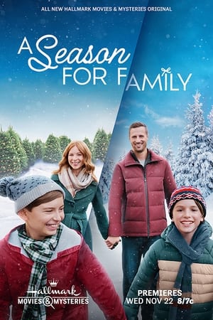 A Season for Family poszter