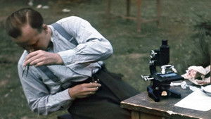 Les junkies d'Adolf Hitler háttérkép