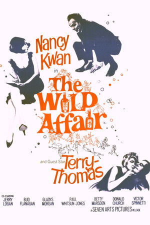 The Wild Affair poszter
