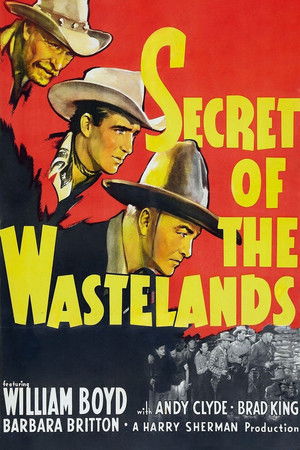Secret of the Wastelands poszter