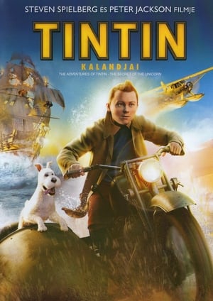 Tintin kalandjai