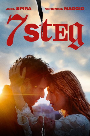 7 steg poszter