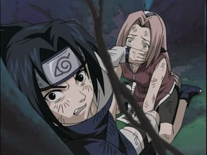 Naruto 1. évad Ep.28 Pánik az erdőben! Eszel, vagy téged esznek meg!