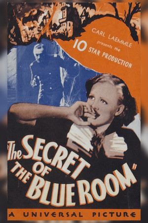 Secret of the Blue Room poszter