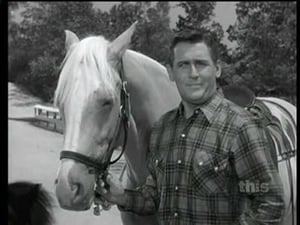 Mister Ed 2. évad Ep.1 1. epizód