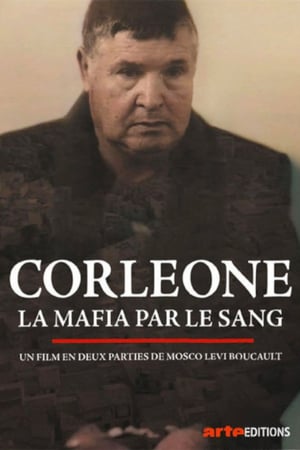 Corleone. Le parrain des parrains poszter