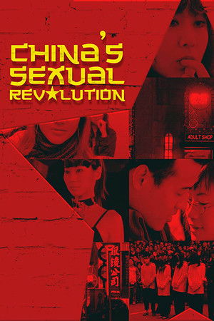 China's Sexual Revolution poszter