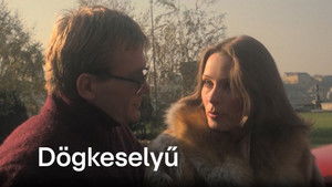 Dögkeselyű háttérkép