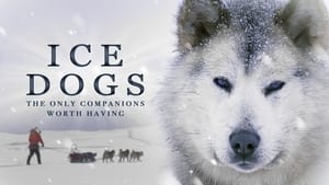 Ice Dogs: The Only Companions Worth Having háttérkép