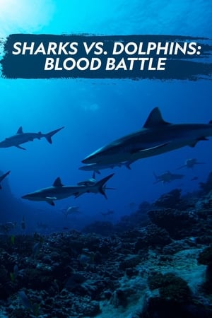 Sharks vs. Dolphins: Blood Battle poszter