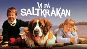 Vi på Saltkråkan kép