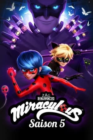 Miraculous - Katicabogár és Fekete Macska kalandjai