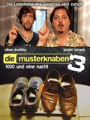 Die Musterknaben 3 - 1000 und eine Nacht poszter