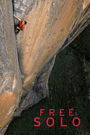 Free Solo - Mászókötél nélkül poszter