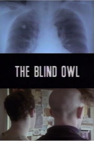 The Blind Owl poszter