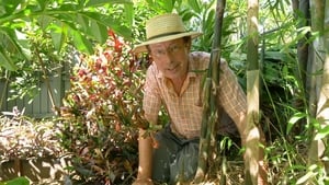 Gardening Australia Season 30 Ep.38 38. epizód