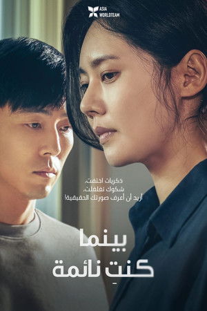 당신이 잠든 사이 poszter