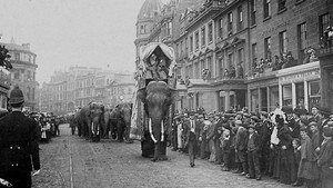 La Tragique Histoire de Fritz l'éléphant háttérkép