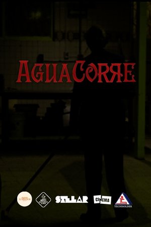 Agua Corre poszter