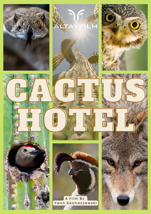 Kaktus Hotel poszter