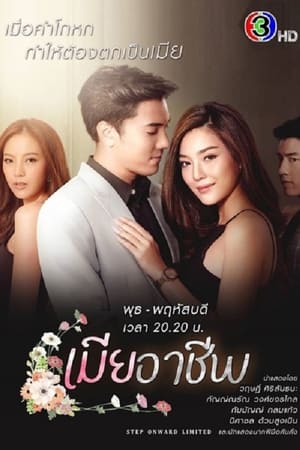 เมียอาชีพ