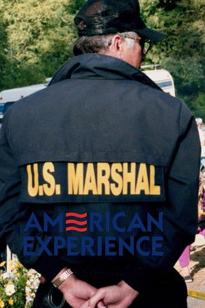 American Experience poszter