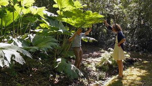 Jardins d’ici et d’ailleurs 1. évad Ep.20 20. epizód