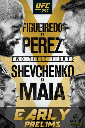 UFC 255: Figueiredo vs. Perez poszter